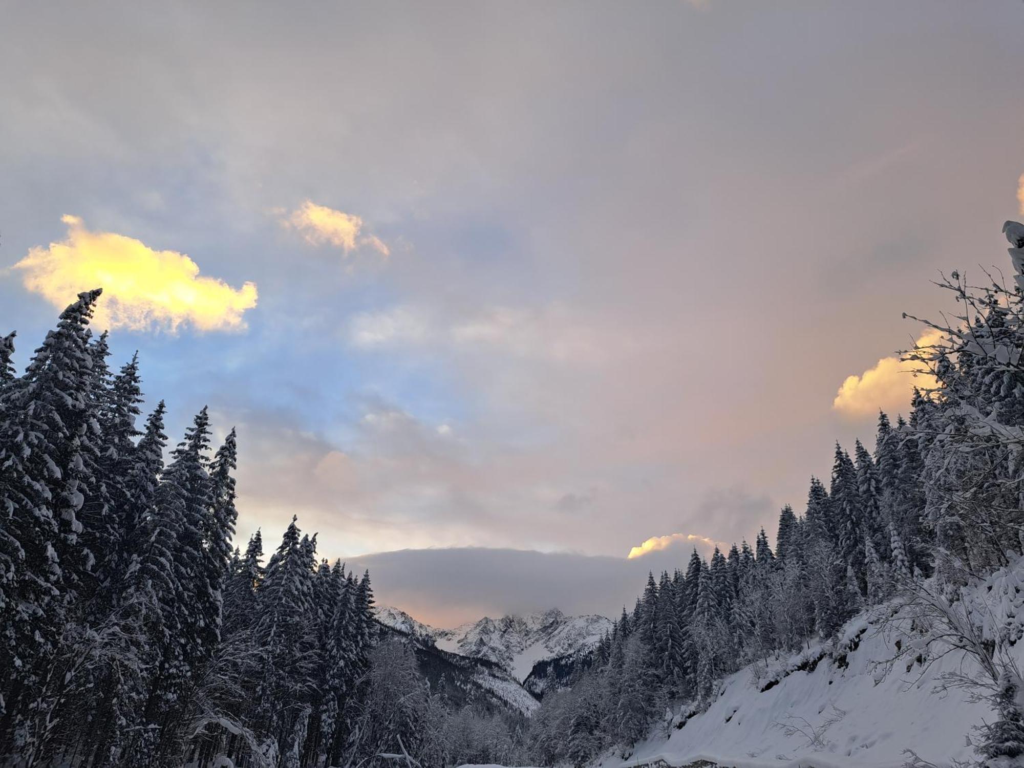 Vila Devana Tatranska Javorina Buitenkant foto